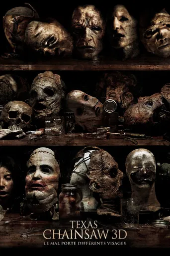 Regarder Texas Chainsaw 3D en streaming complet